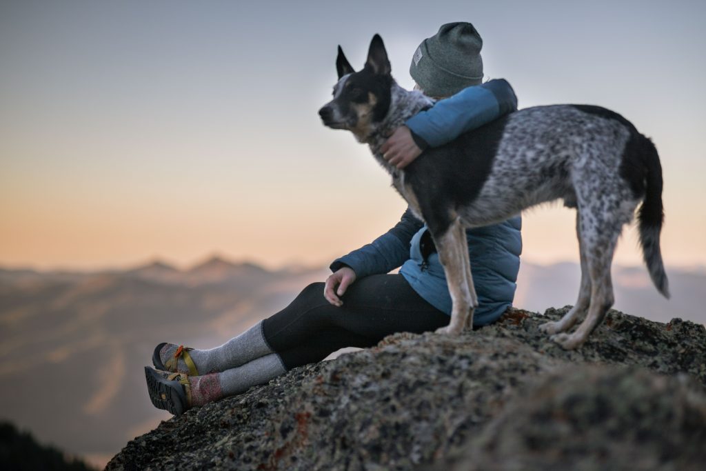 Chien-dans-les-bras